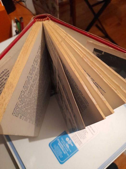 Thriller "O Voo da Águia", de Ken Follett