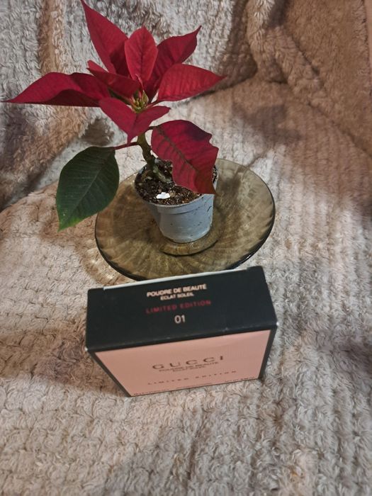 Sprzedam bronzer gucci nowe