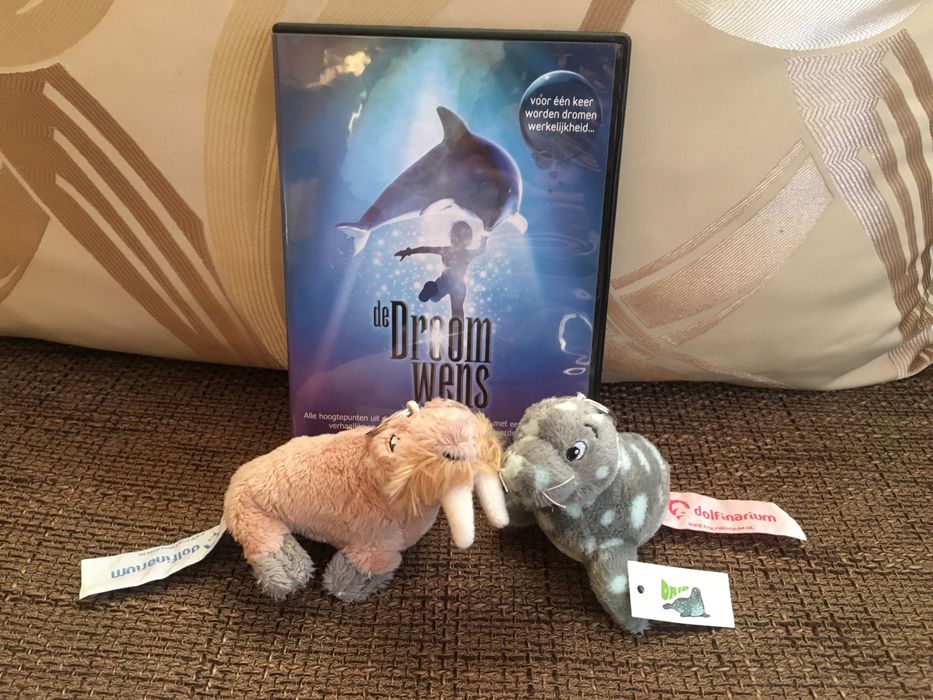 Breloczek, maskotka mors, foka + DVD pokaz delfinów delfinarium