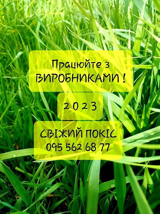 СІНО (Сено) СВІЖЕ 2025р.Лугове в тюках. Біла Церква!