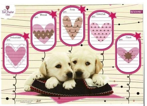 Plan lekcji A4 z magnesem Pieski