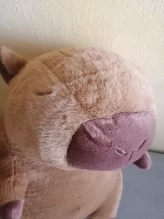 Duża maskotka/Duży pluszak kapibara