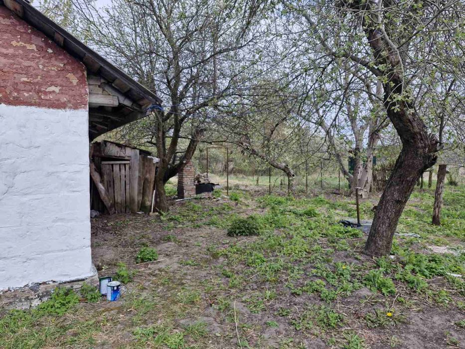 Продам 53 сотки землі у с. Федорівка Фастівський р.н Київскої обл. по ціні 350$/сотка