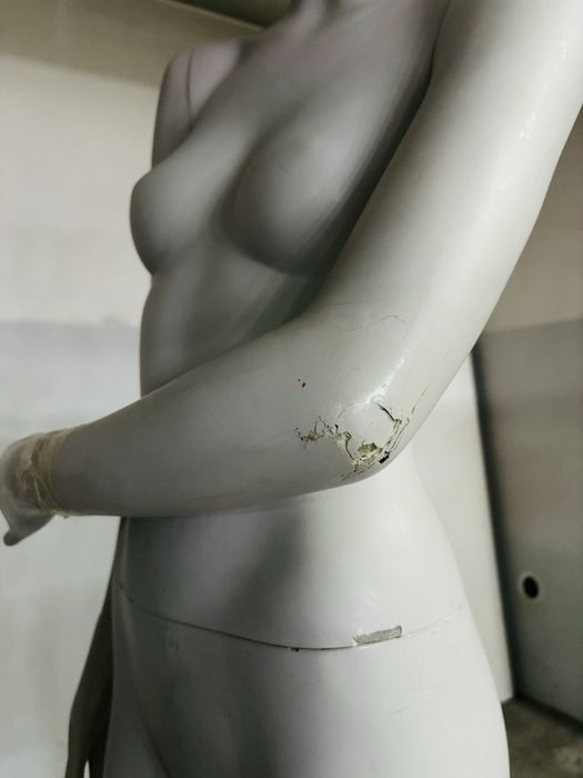Manequim feminino completo