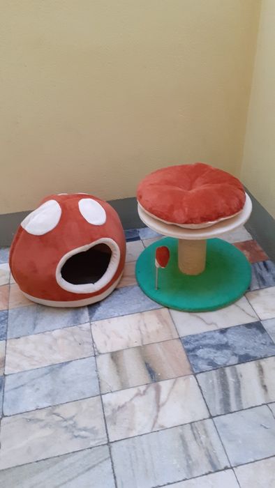 Arranhador gatos 3 em 1 com casota cogumelo Super Mario NOVO