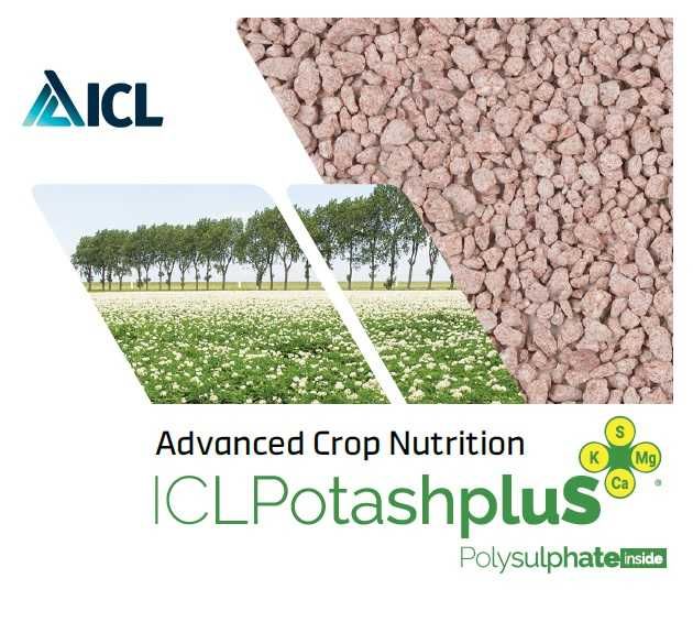 Alfa Potas, sól potasowa z mikroelementami, korn kali, sól potasowa