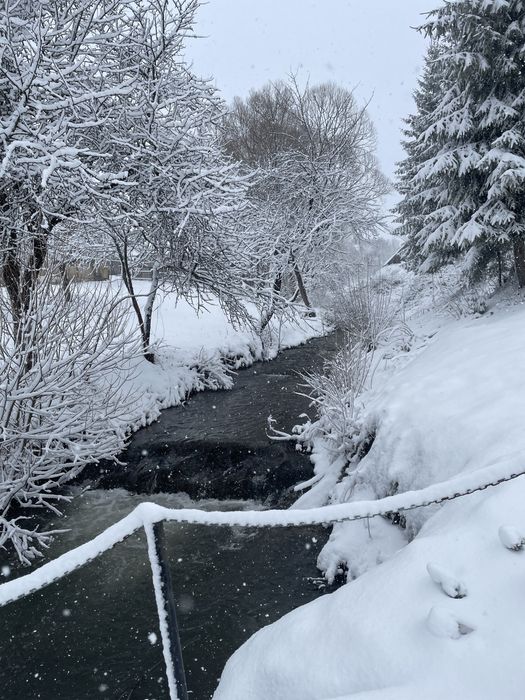 Продається деревяний будинок в с. Росохач