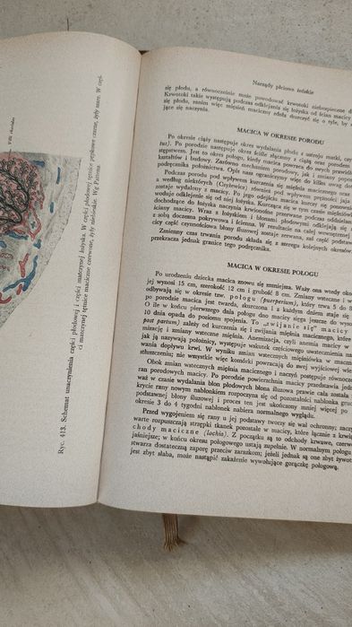 Anatomia człowieka tom II Adam Bochenek Michał Reicher