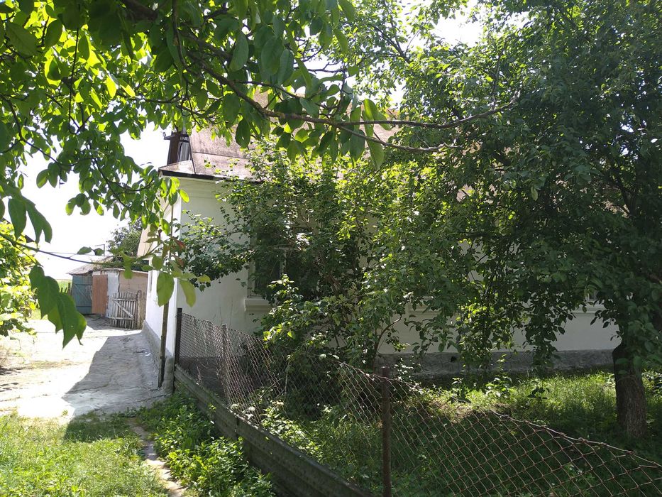 Продаж будинку та земельної ділянки 50 соток, місто Берестечко