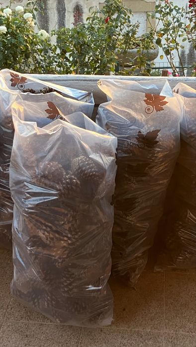 Sacos de vindima com pinhas