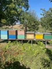 Ule Wielkopolskie z akcesoriami 9 sztuk