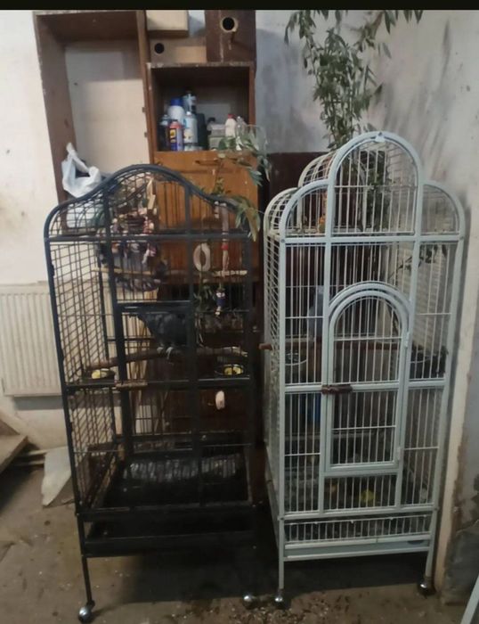 Клітки для папуг всіх видів то