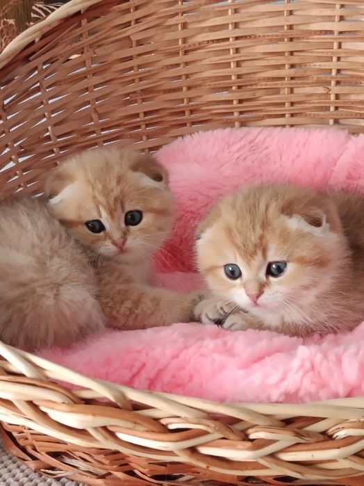 Красивіше не буває