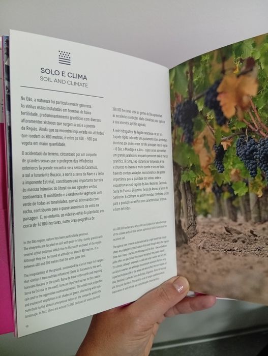Roteiro dos vinhos do Dão