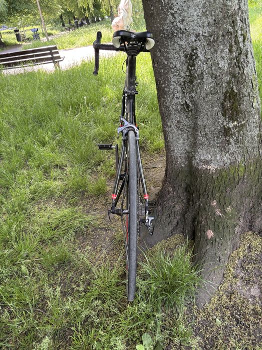 Rower szosowy wilier triestina rama 56