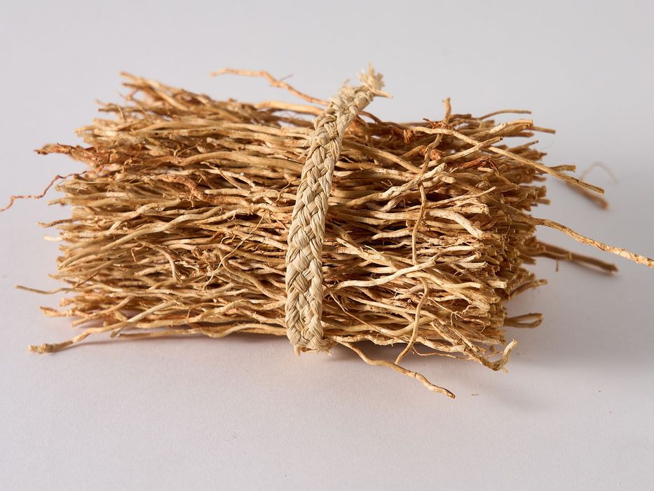 Molho de raiz de Vetiver seca