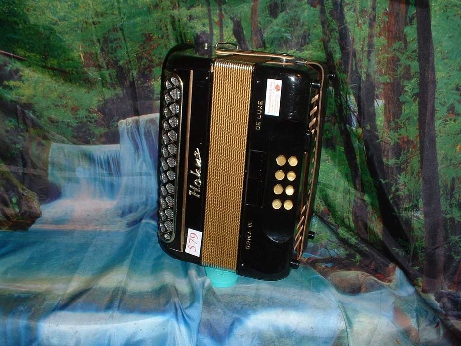 Promoção de Acordeões de concertinas