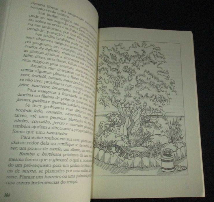 Livro A Casa Mágica Scott Cunningham