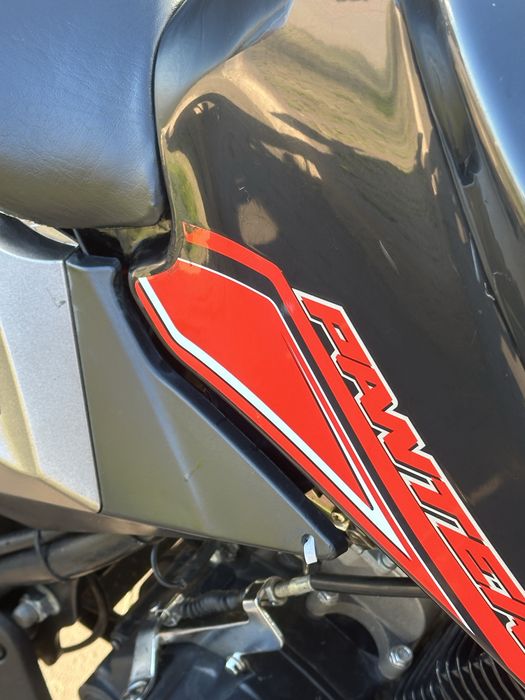Geon Pantera n200
