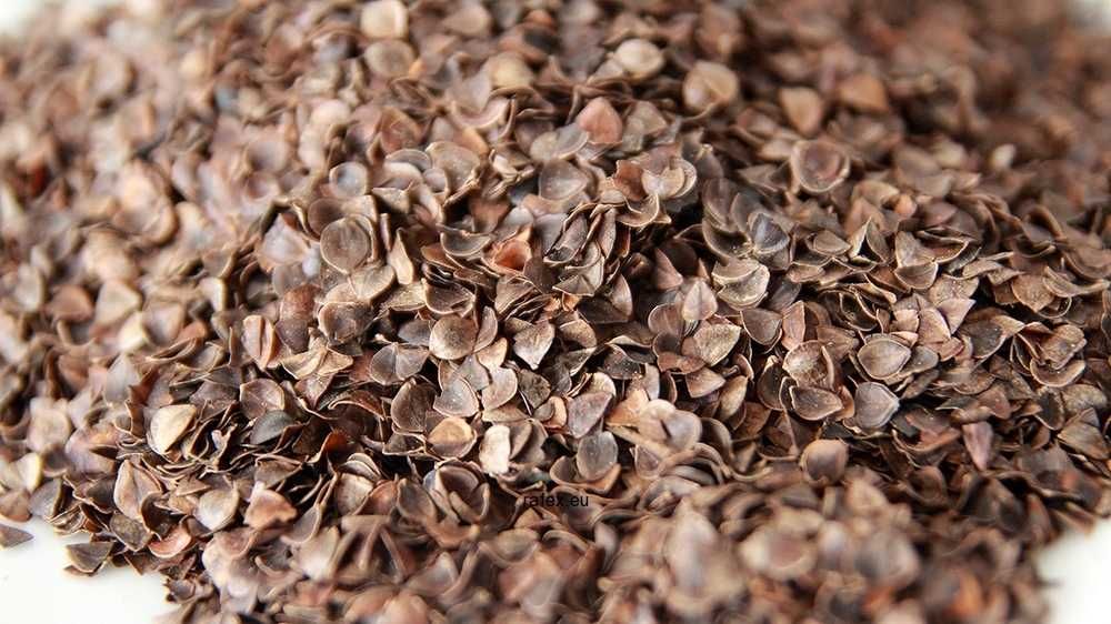 Łuska z gryki - oczyszczona