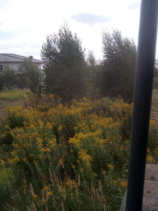 Rębak mulczer gałęzi karczowanie rekultywacja mulczowanie frezowanie