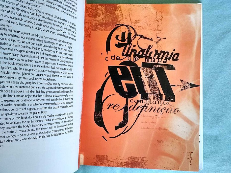 Umbigo: Coordenadas do Corpo na Arte Contemporânea (porte incluído)