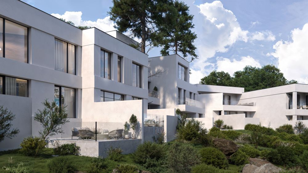 Продажа преміальних таунхаусів в заповідній зоні Ужгорода