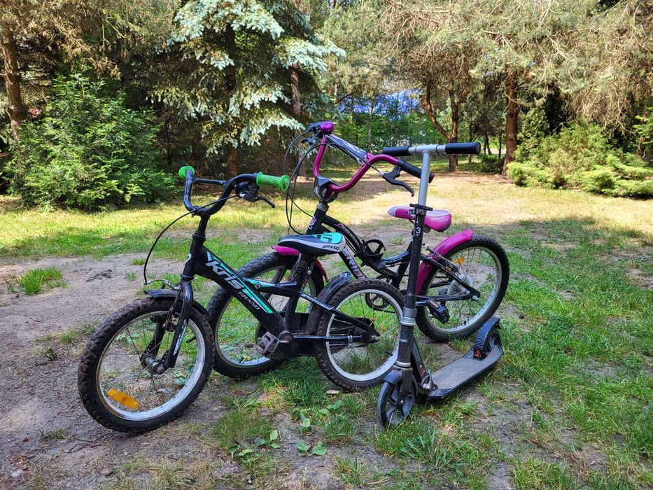 Domek nad rzeką, blisko Warszawy, grill, rowery, Natura 2000!!!