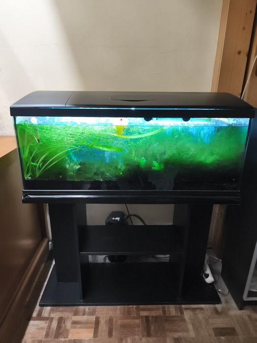 Vendo Aquário 100 cm  totalmente equipado e com móvel de apoio