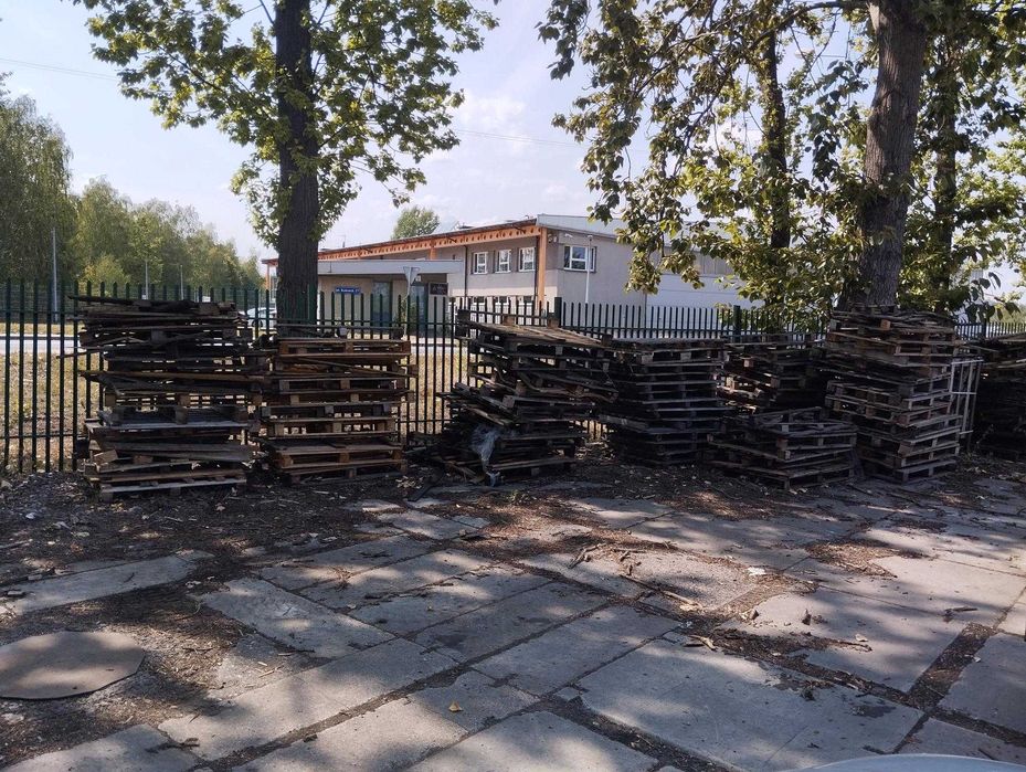 palety używane oddam za darmo