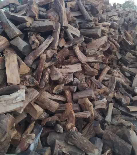 Lenha de Sobreiro, oliveira, azinho ou medronheiro