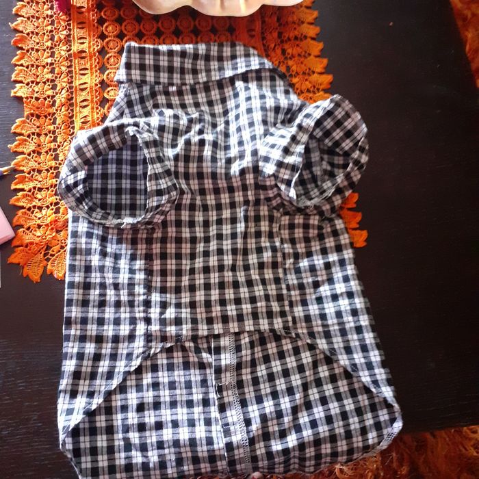 Ubranie dla pieka koszula z mucha