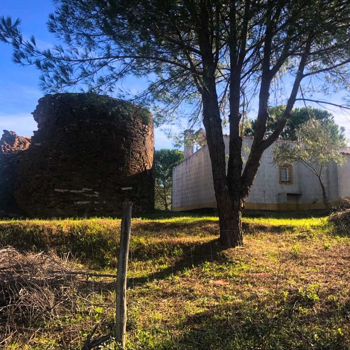 Monte Alentejano com Moinho Tradicional