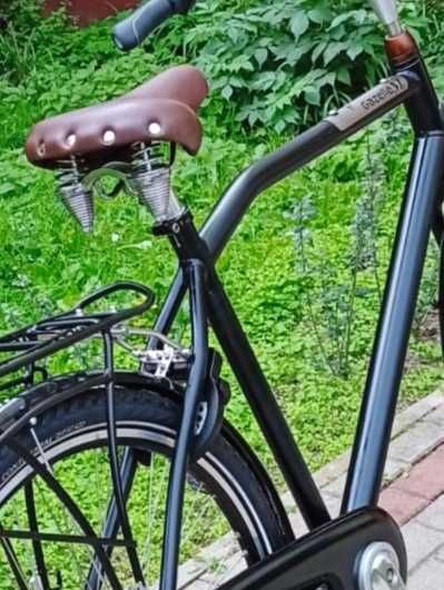 Rower Gazelle używany