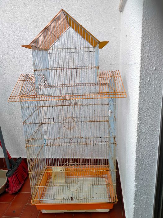 Gaiola pássaros (lê o anúncio)