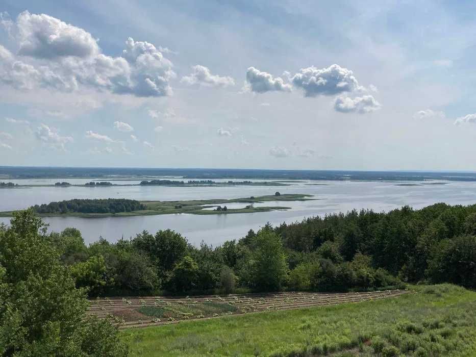 продаю свій участок с.Витачів, Київська обл.