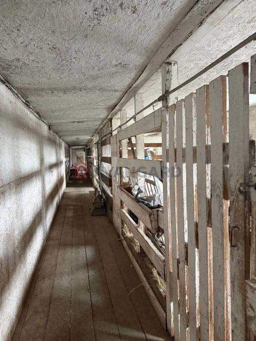 Продажа кінний двір Новоолександрівка комерція