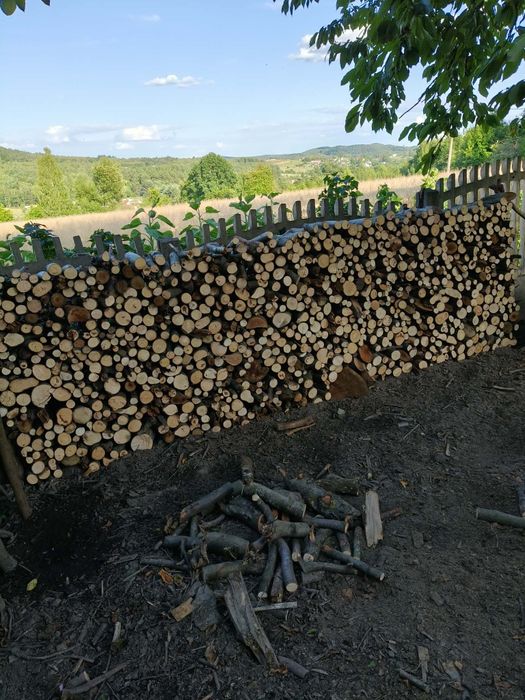 Drzewo opałowe grab buk