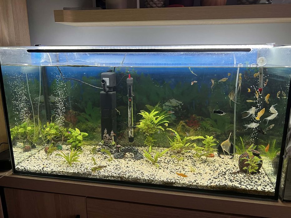 Akwarium 200 l.