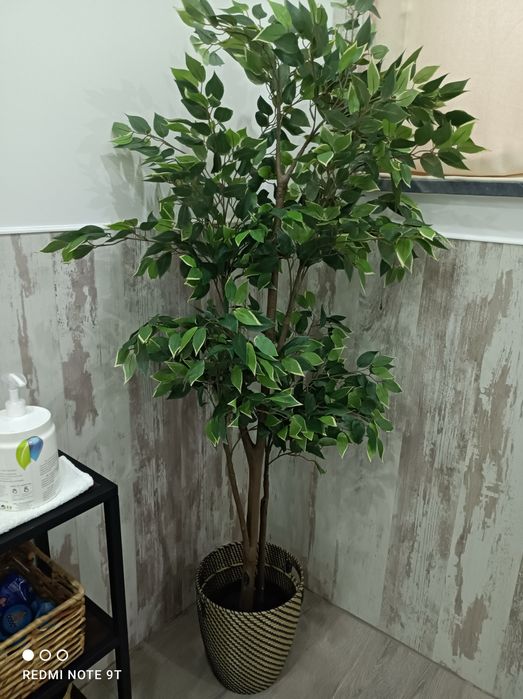 Vendo moveis de decoração