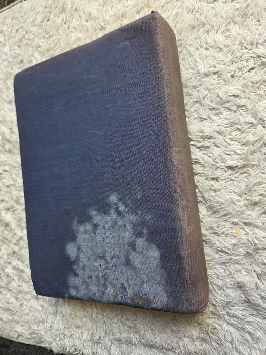 Bismarck a Polska Józef Feldman