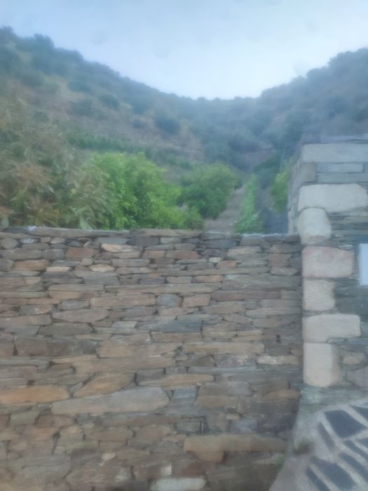 Terreno rústico em Moncorvo