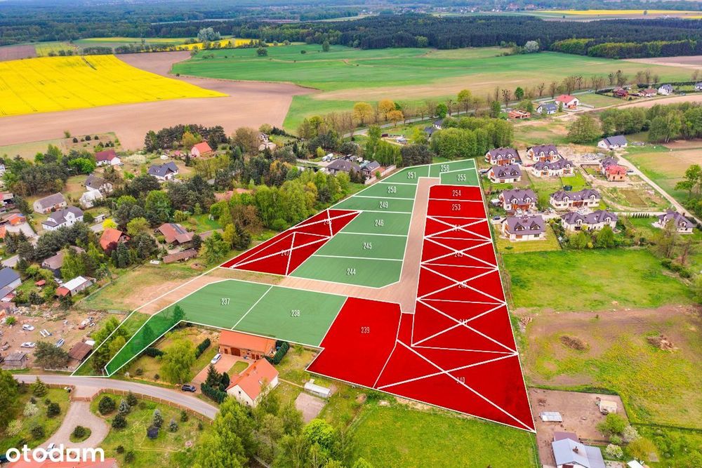 Działki budowlane w Piszkawie - Widok 4