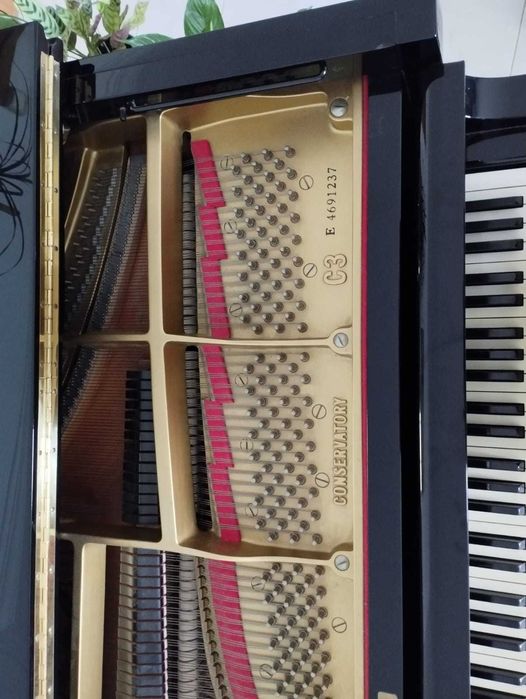 Piano de cauda Yamaha C3 usado em excelente estado