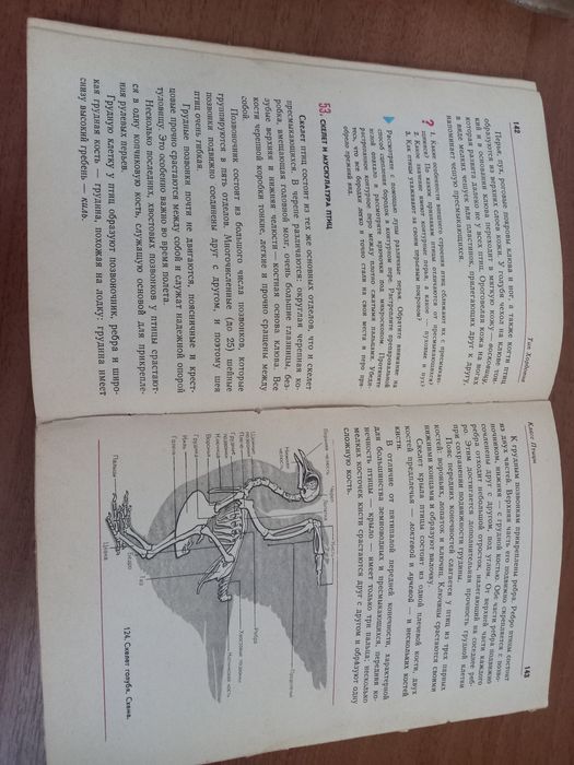 Зоология Наумова 6-7 класс учебник советский 70е-80е