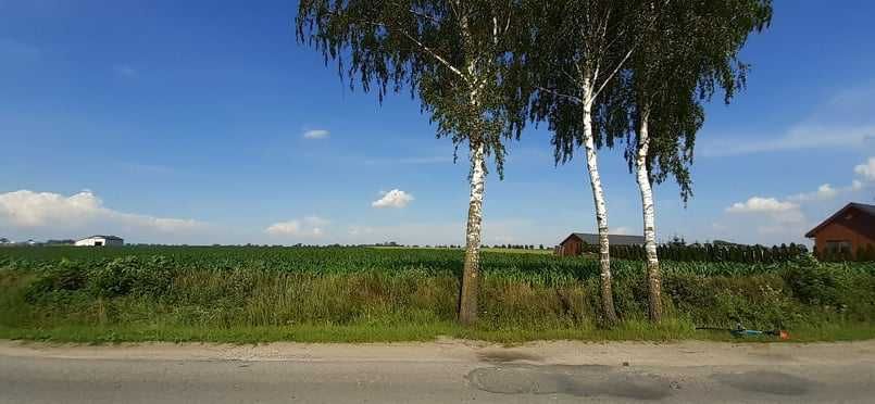 Działka Siedliskowa, 1 hektar w Biskupicach z Warunkami Zabudowy