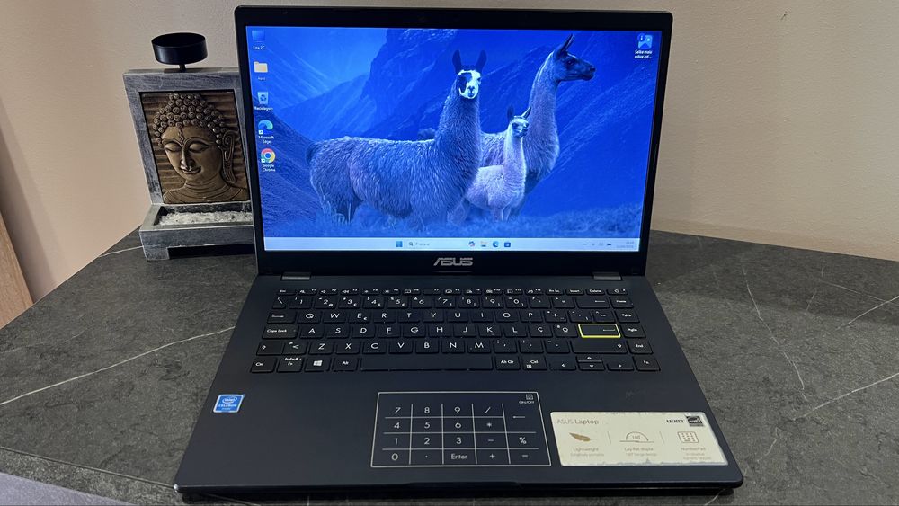Asus Vivobook Intel/4Gb RAM Autonomia 8h