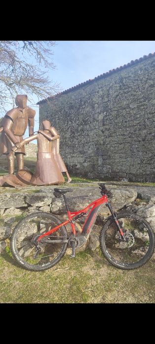 Orbea Wild FS e-bike