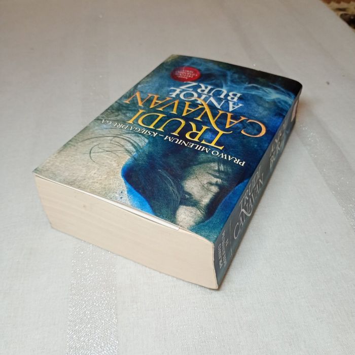 Anioł burz (Prawo milenium, #2). Trudi Canavan