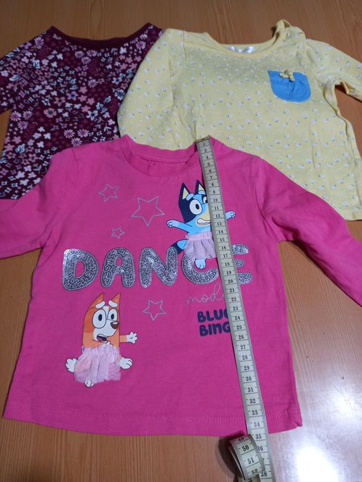 Лонгсліви на дівочку 12-18 місяців